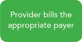 Provider bills the appropriate paye